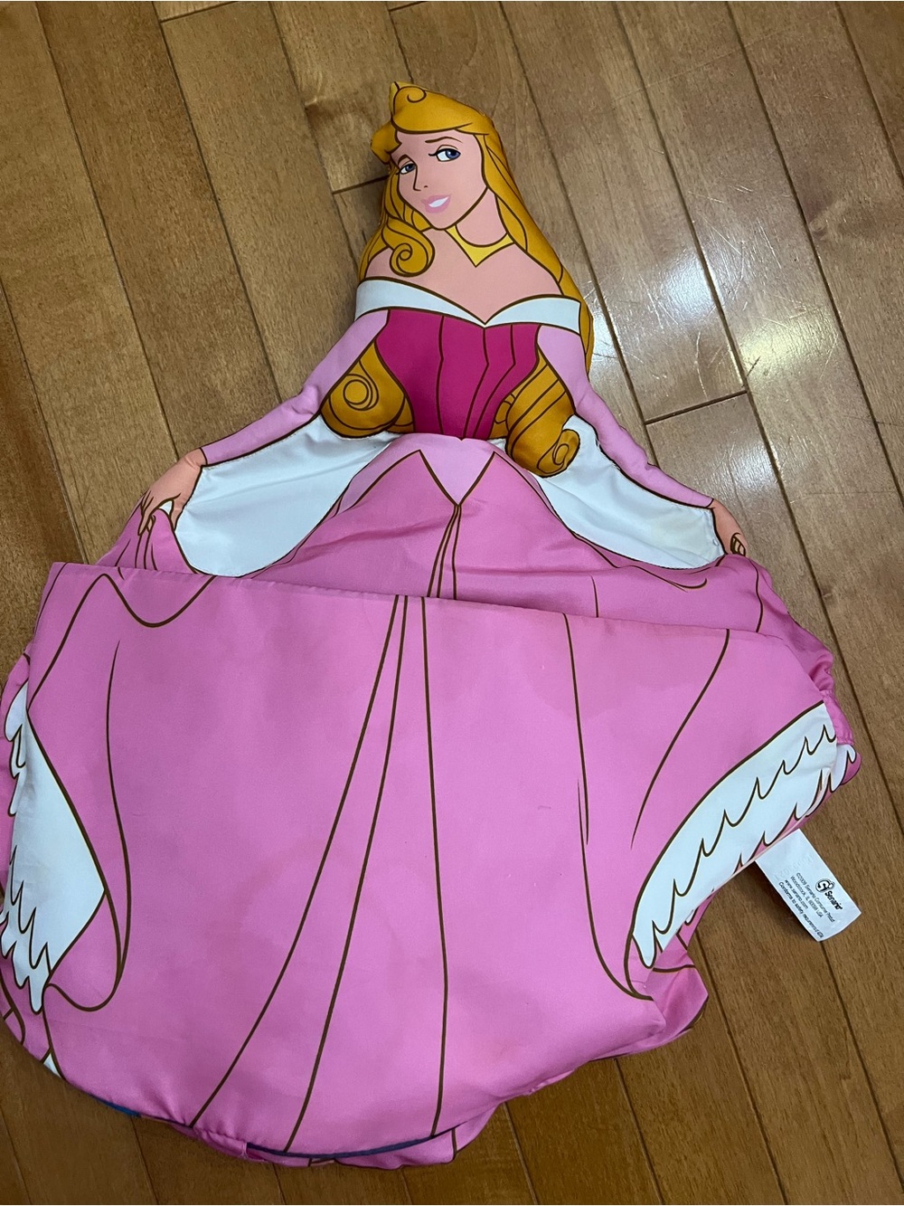 Disney Aurora plush storybook